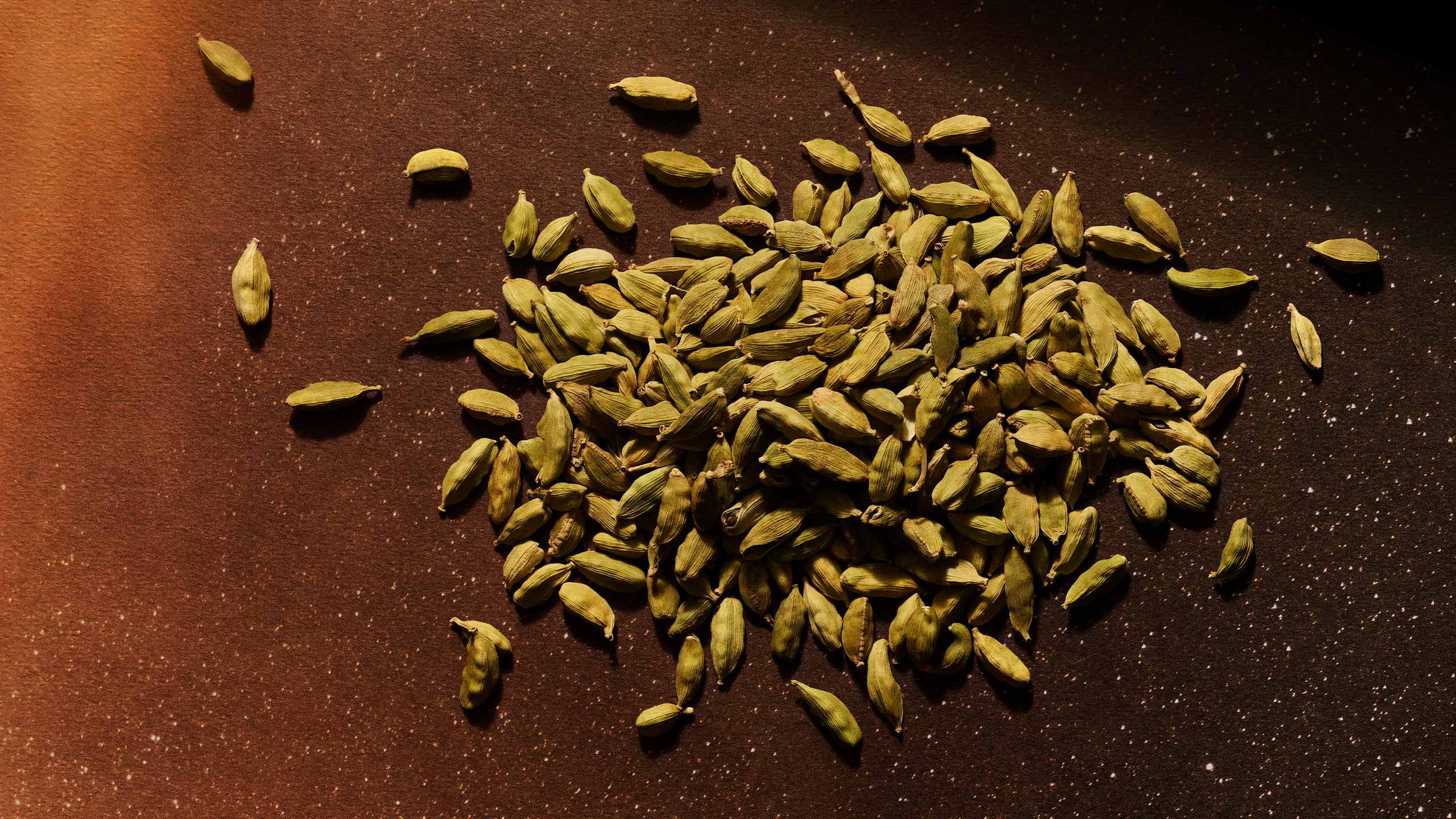 Cardamoms scattered in dark ambient background