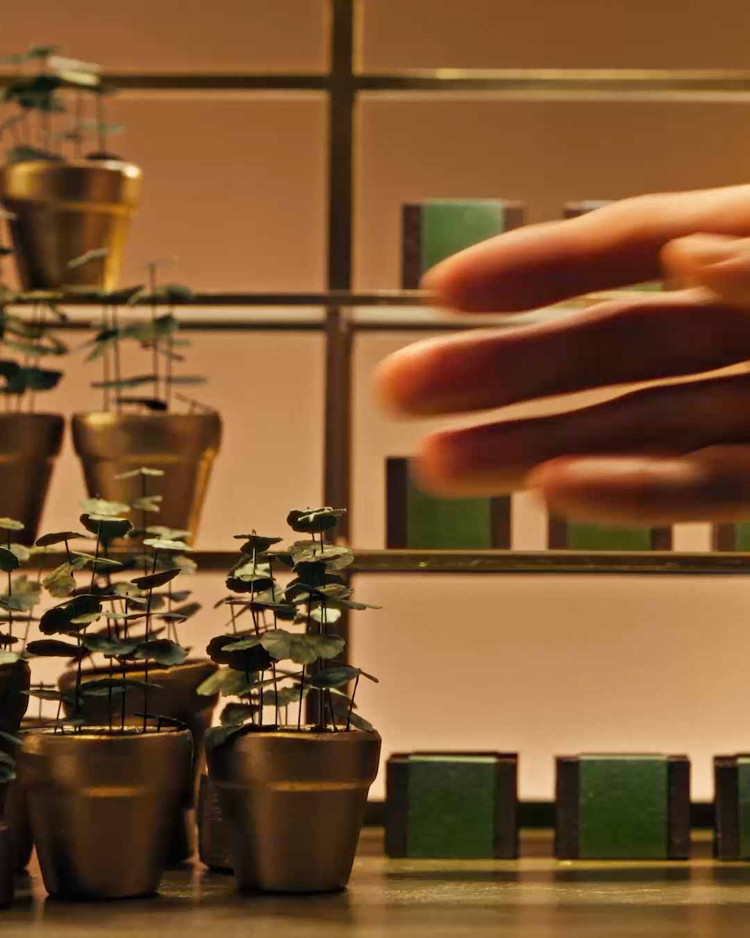 Hand reaching out to miniature plant