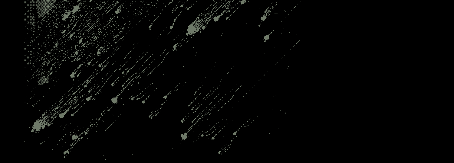 Black-and-white illustration of night sky scene featuring a many falling stars.