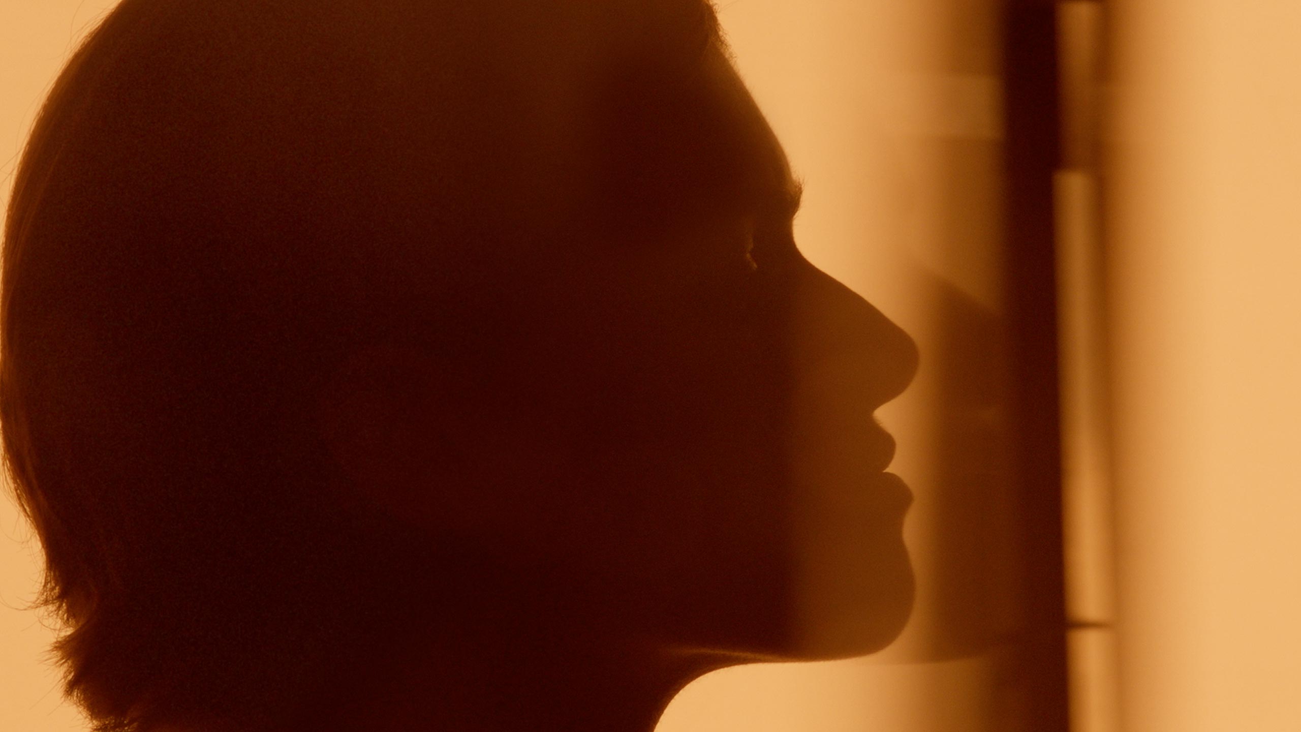 Shadow of an individual's head