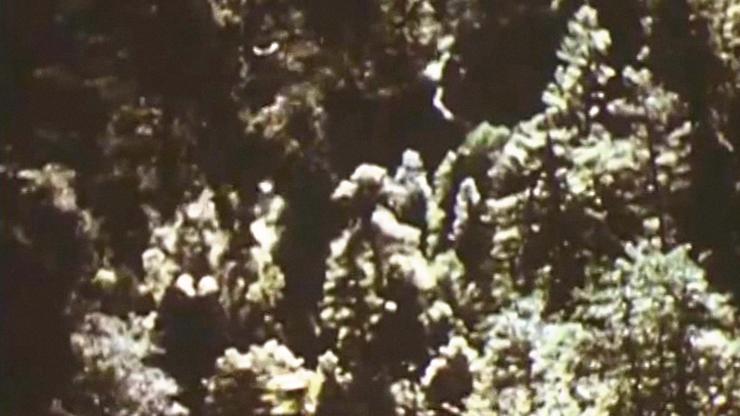 Pile of books sitting in Aesop Paddington.