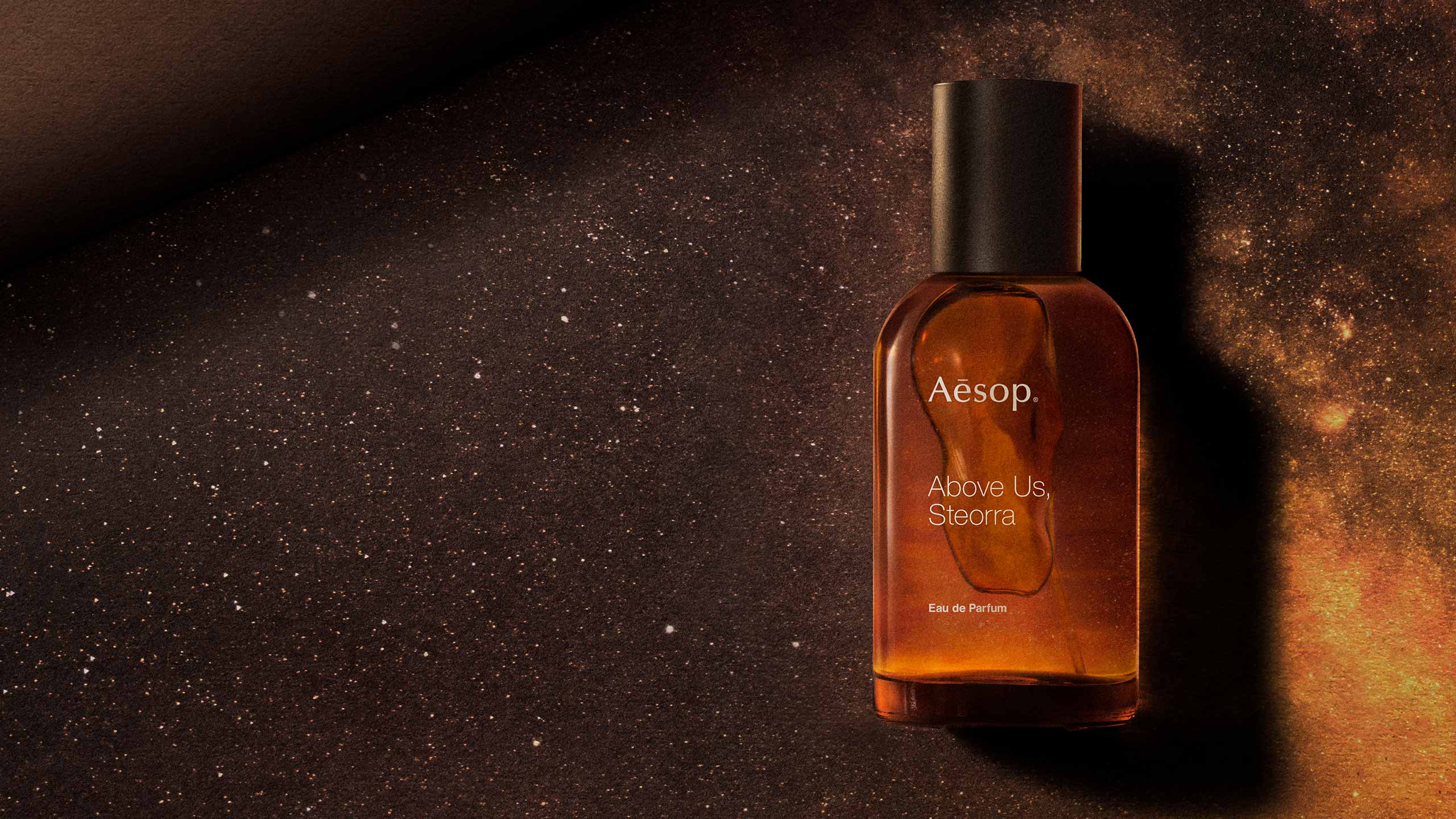 An individual staring into the sky 