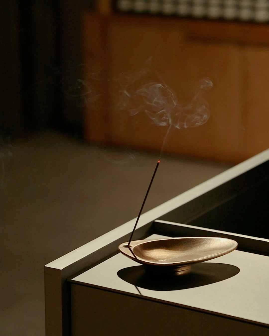 A lit stick of incense.